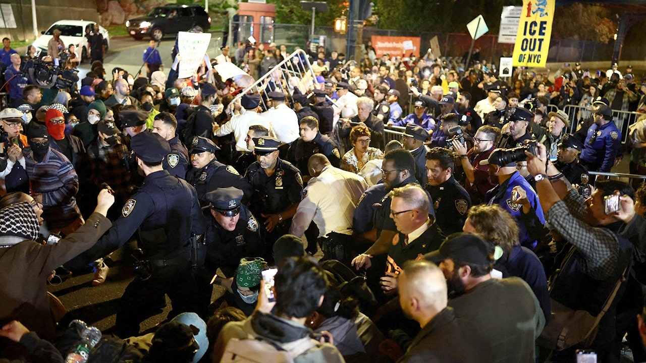 Protests erupt in the Bronx after ICE agent shoots man during ...