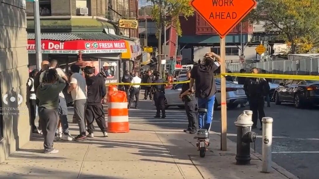 Person shot by ICE agent in New York City's Marble Hill, law enforcement sources say