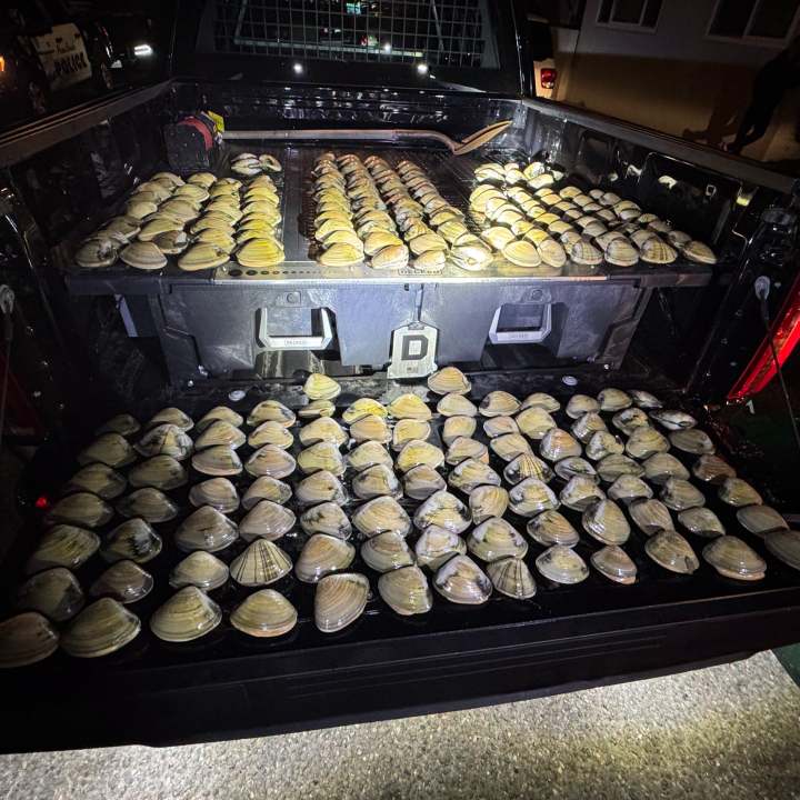 494 clams recovered in Pismo Beach by police