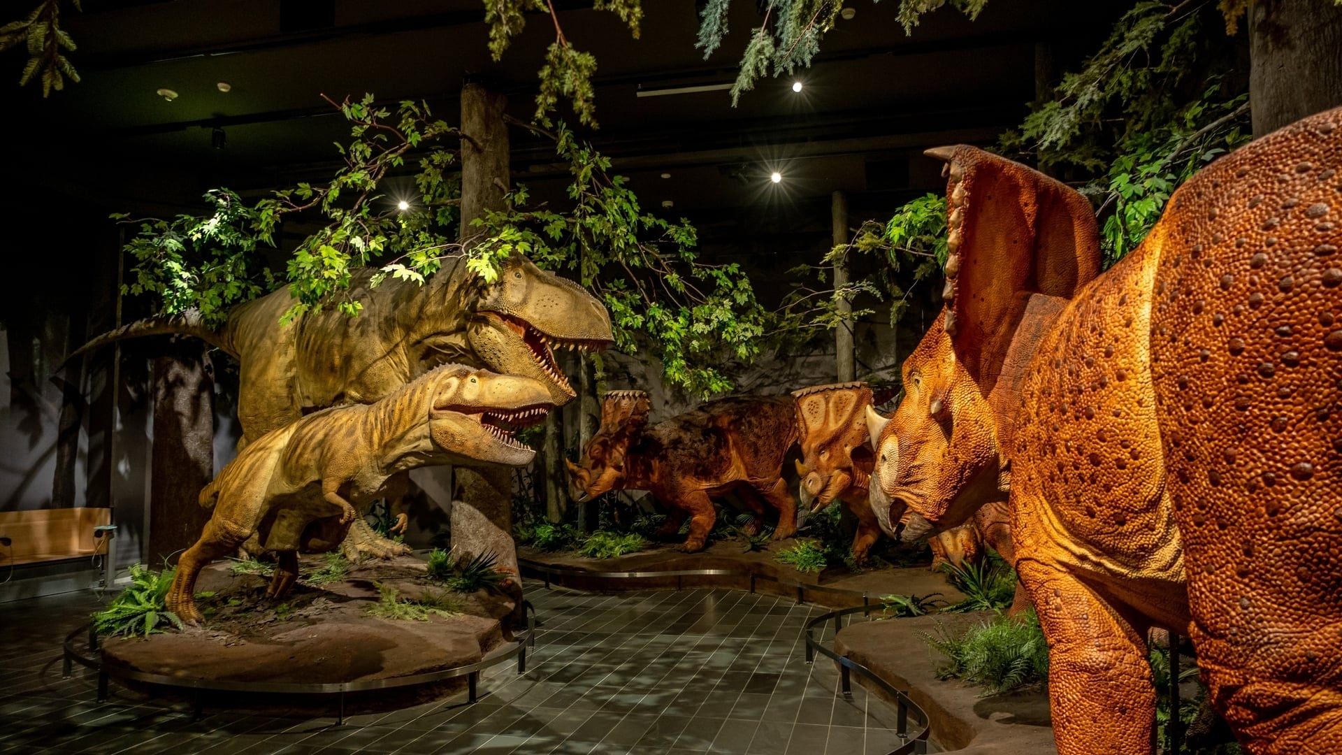 À 2 heures de Paris, cette exposition hors du commun vous fait voyager ...