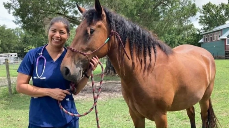 Friends push for release of veterinarian detained by ICE: 'She just wanted her American dream'