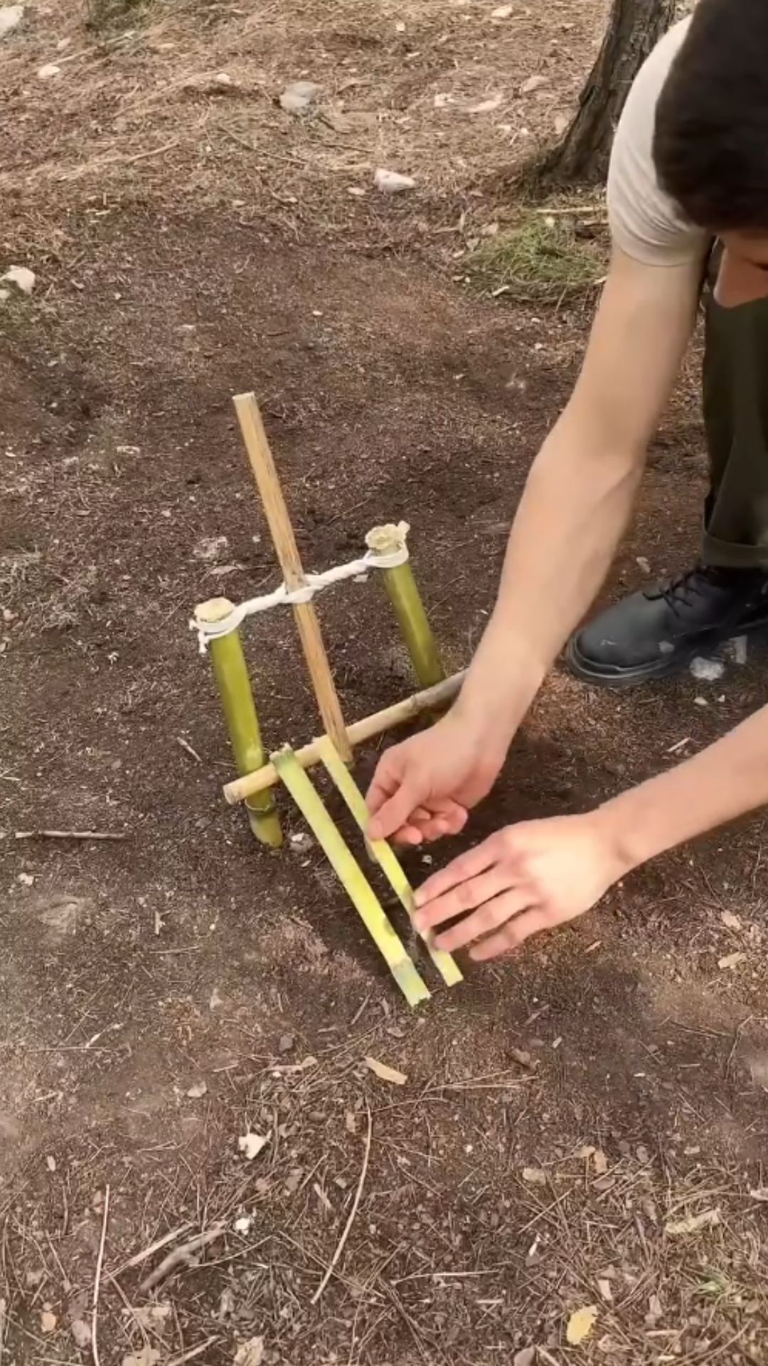 What makes a bushcraft survival trap effective