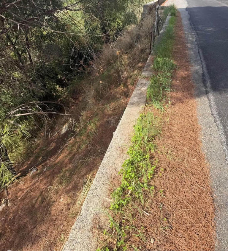 Consegnati i lavori di messa in sicurezza delle strade provinciali di ...