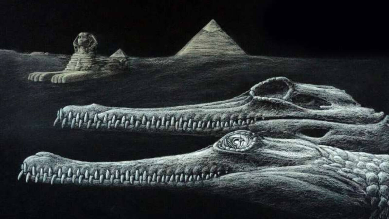 New extinct crocodile found in Sphinx rocks, with a missing snout tip