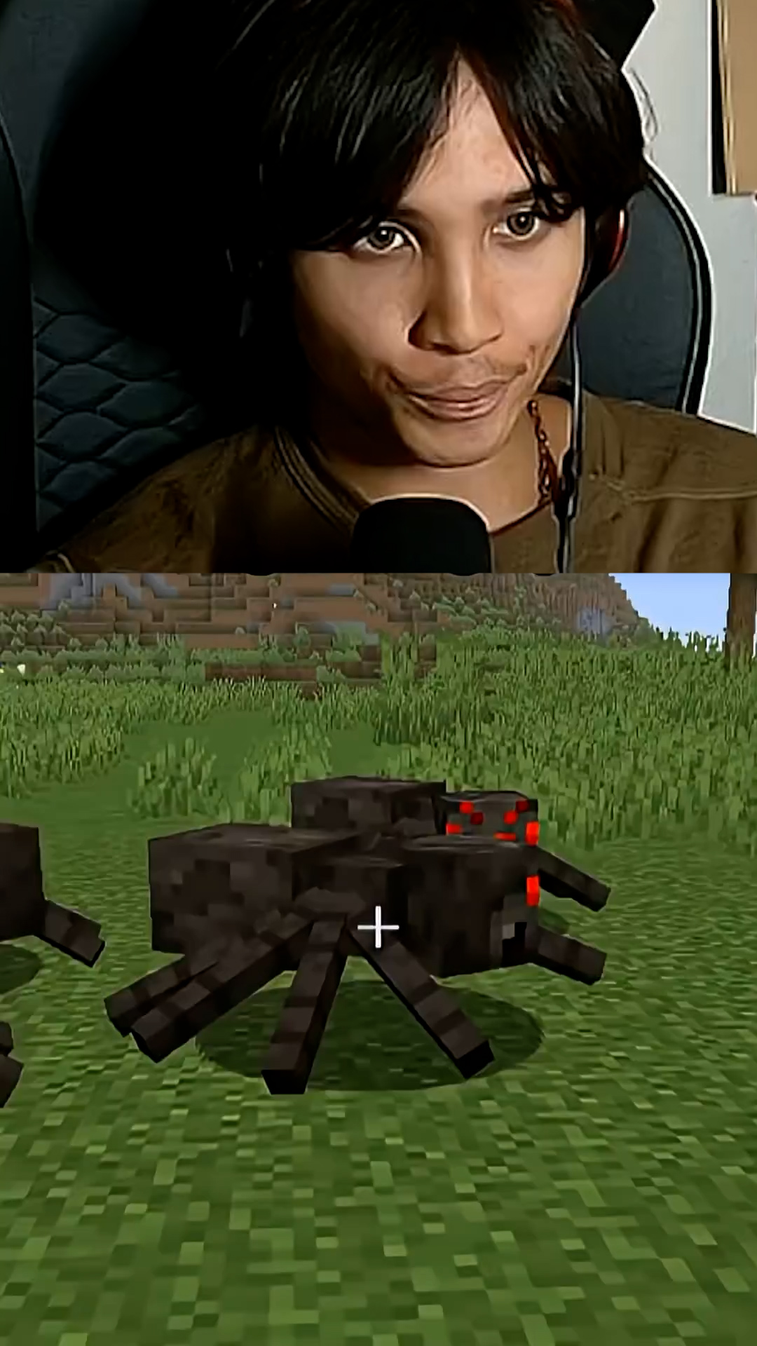 True or false Minecraft interaction quiz