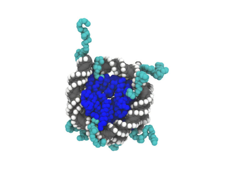 New 'computational microscope' simulates DNA packaging at more than ten ...