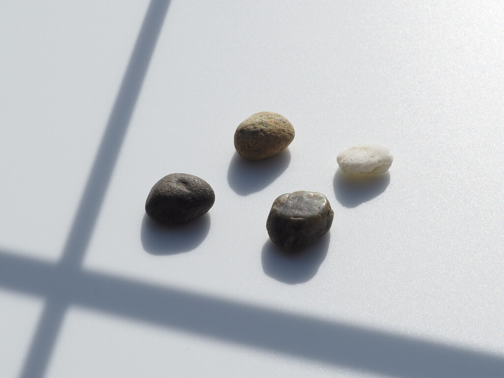 窓辺の小石 第286回 継ぐのは誰か?