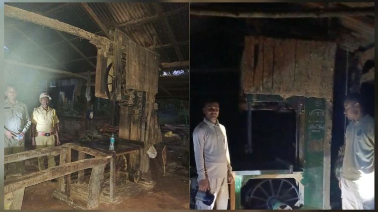 Assam forest officials dismantle four illegal sawmills, seize teak and ...