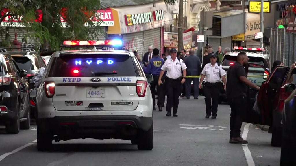 Man shot by ICE agent in New York City's Marble Hill, authorities say
