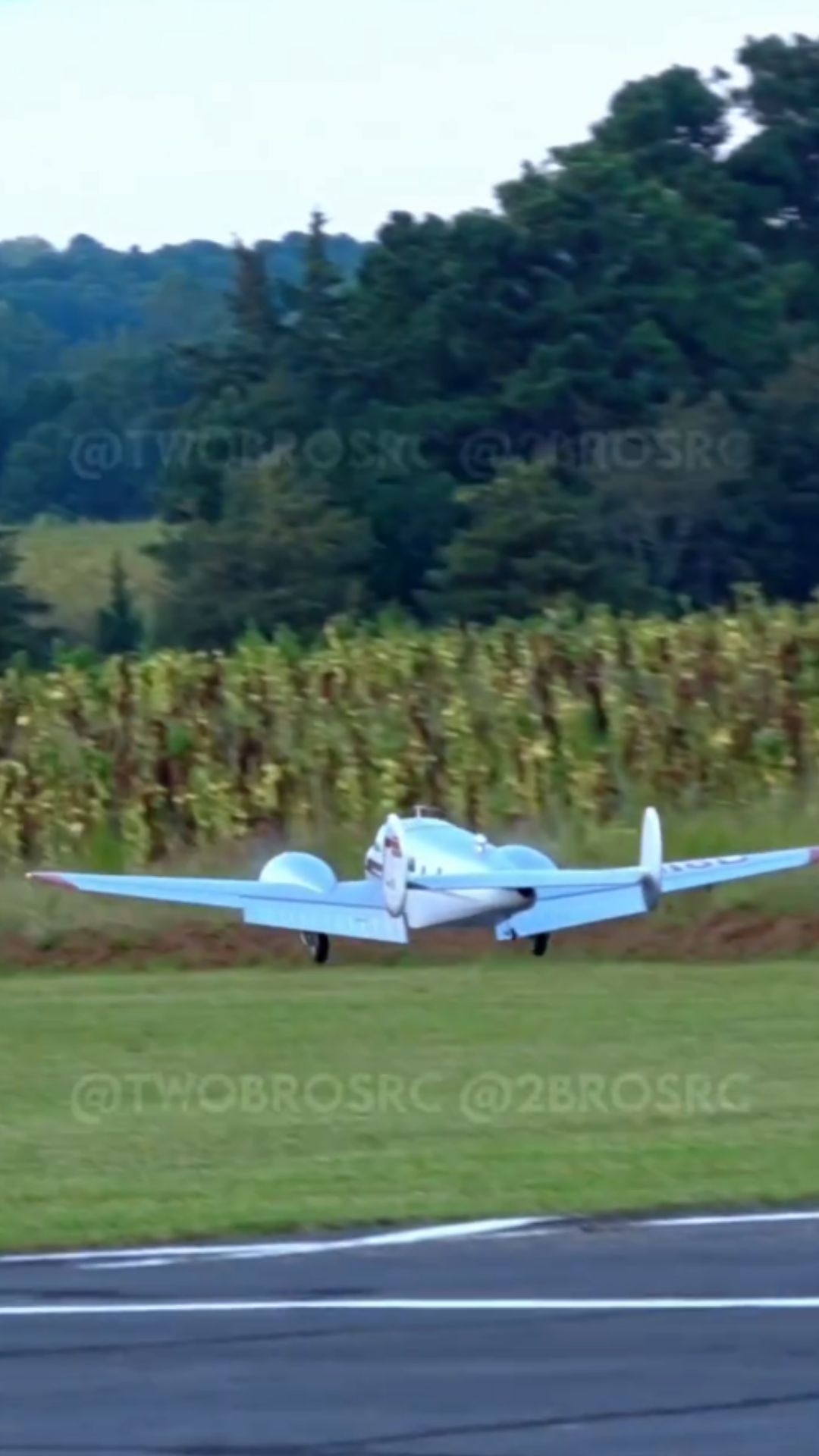 E Flite D18 RC aircraft reveals two distinctive versions
