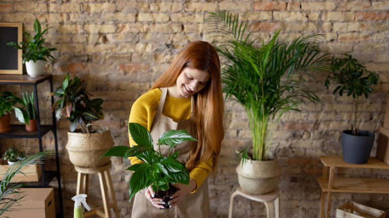 Don't toss an old measuring cup: Turn it into an adorable hanging planter