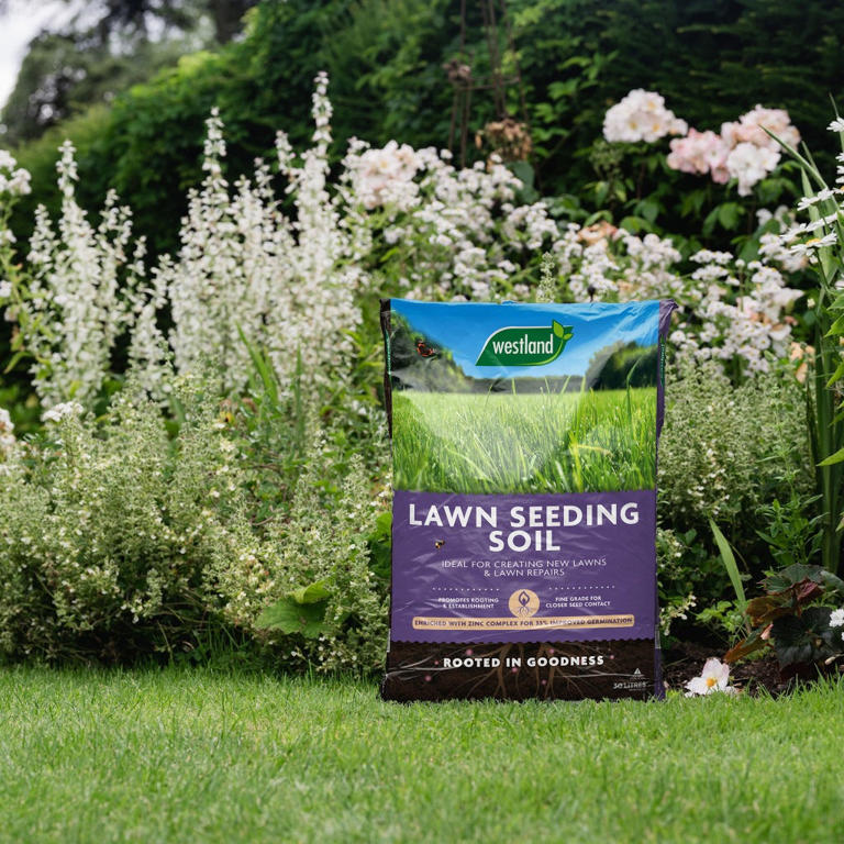 I just found the easiest way to spread topsoil on a lawn – it’s a ...