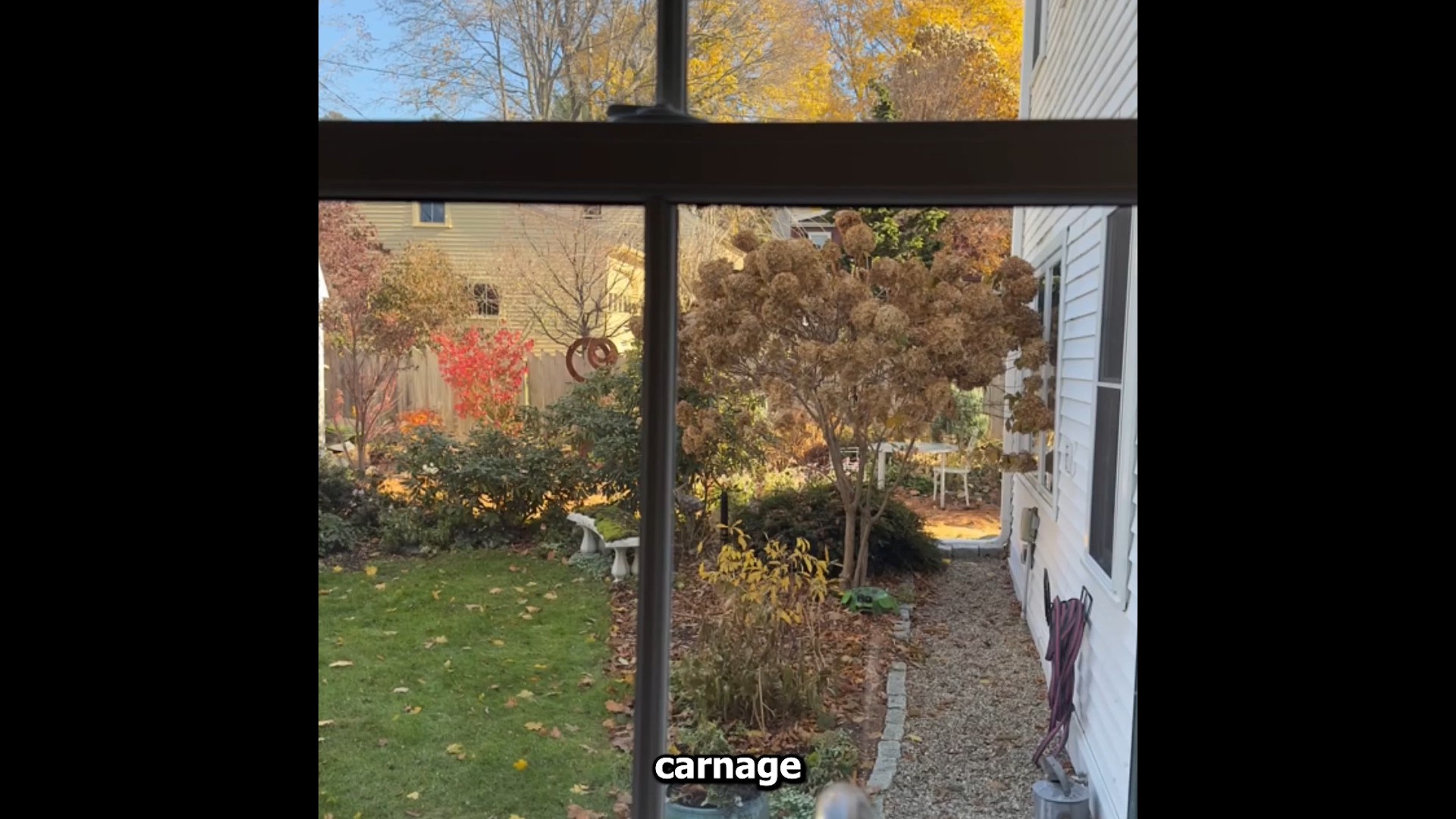 Smart landscaping tips every homeowner should know