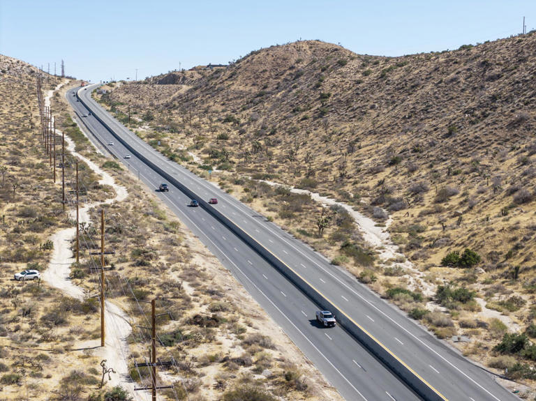 This Joshua Tree highway keeps killing wildlife. Enter the poop-hunting ...