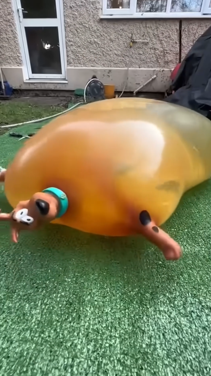 Watch these inflatable toys stretch until they finally explode