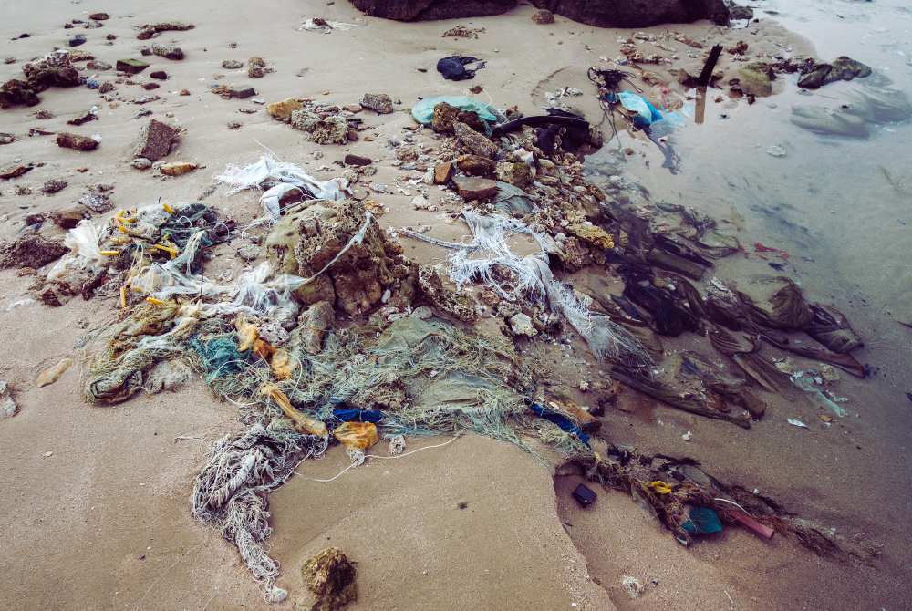 2027 budget: Ghost net buyback scheme to remove abandoned fishing nets ...