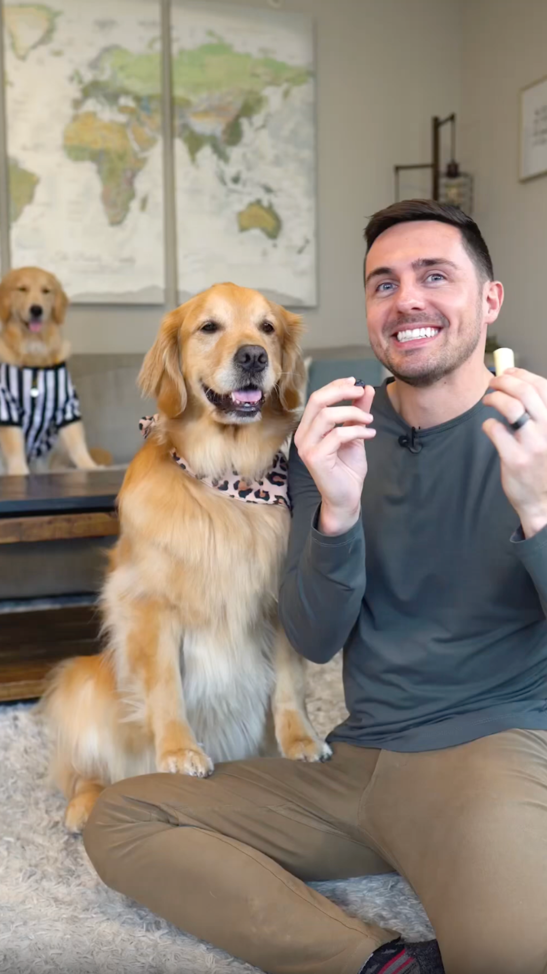 A golden retriever decides: blueberry or string cheese?