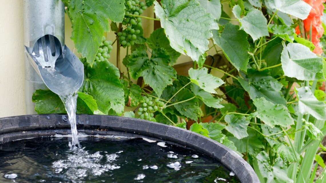 Regentonne: Darum lege ich im Winter immer Styropor in das Wasser