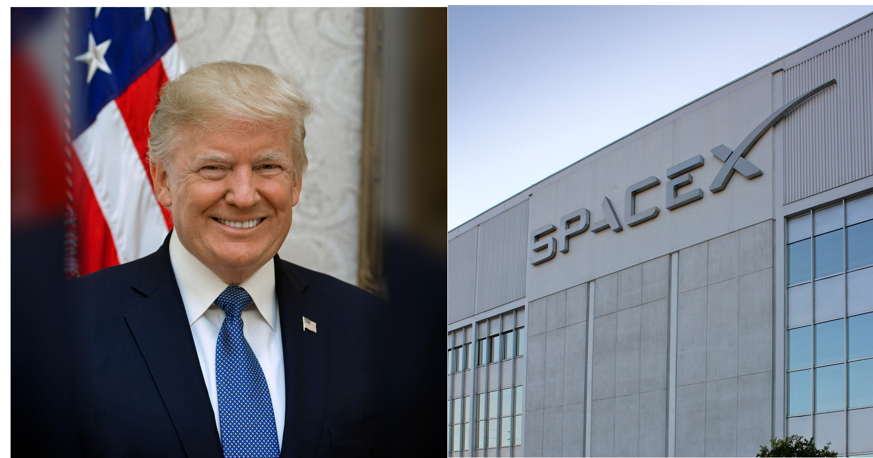 Trump’s disclosure shows Meta purchase and SpaceX bonds before space order