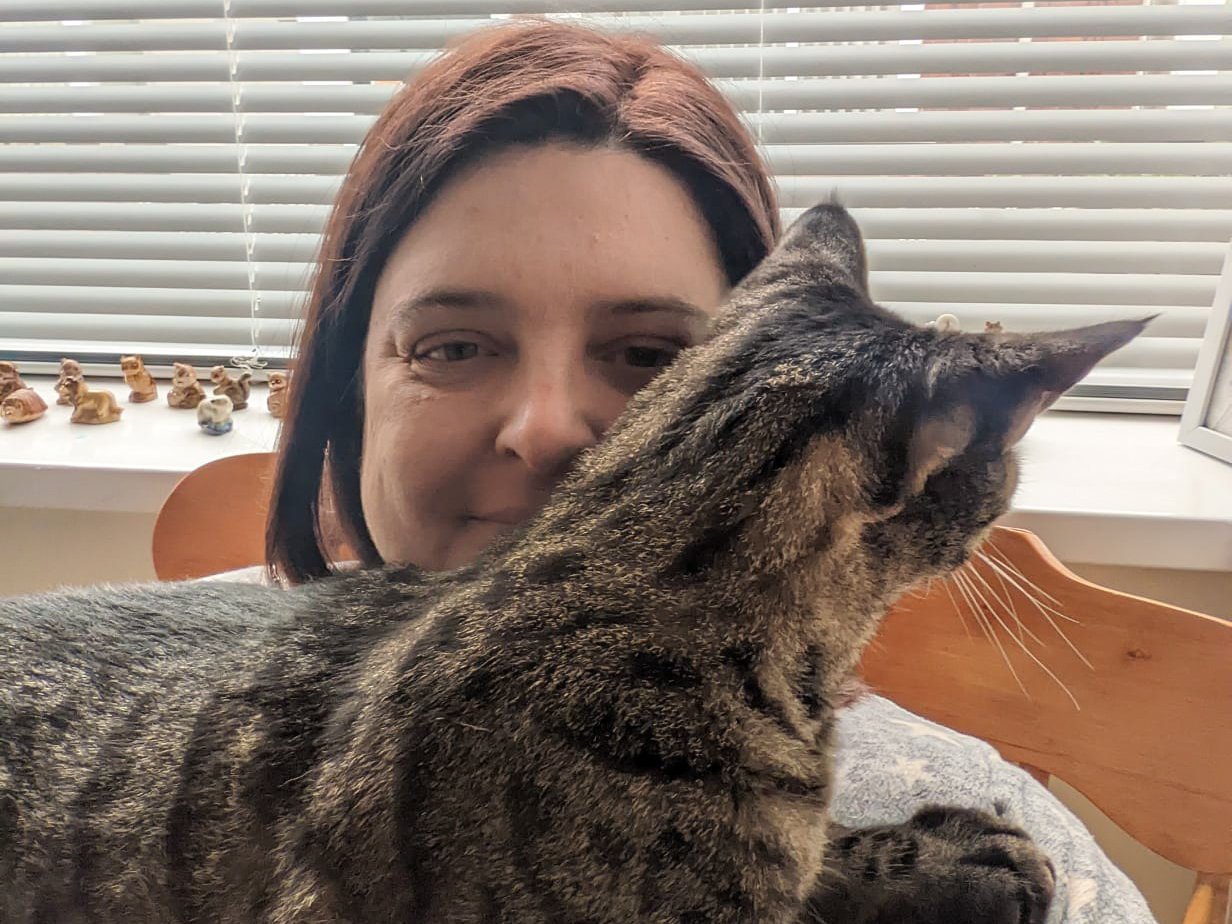 Three people arrested after missing cat’s tail is posted through owner ...