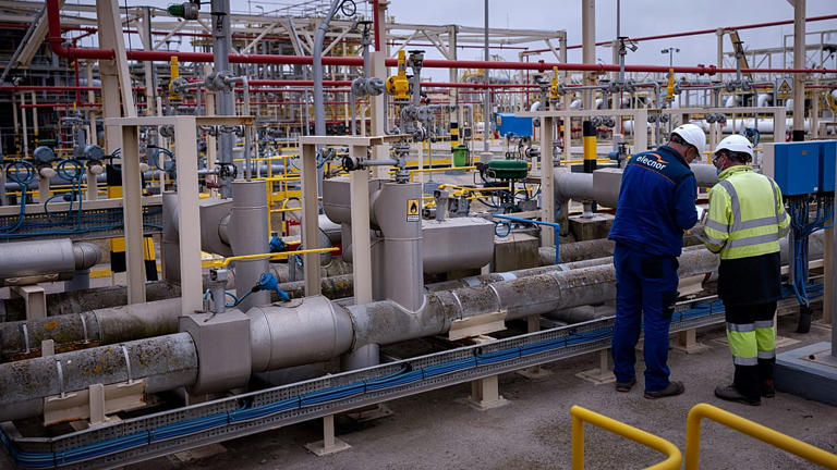 EU may need to cut winter gas demand by 7% as storage hits record low ...