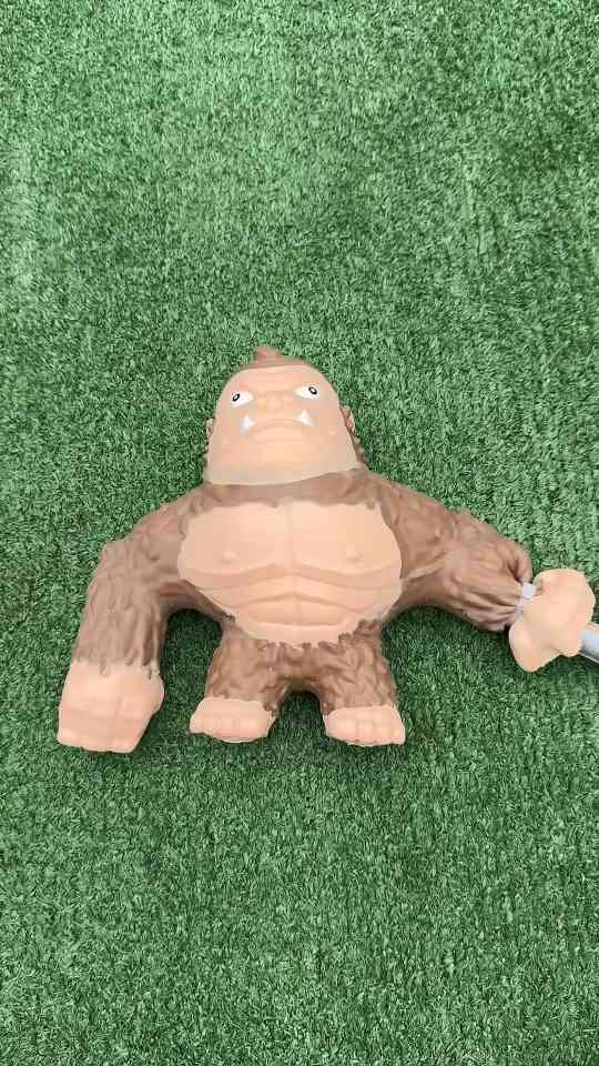 Stretch monkey floods my garden in a wild experiment