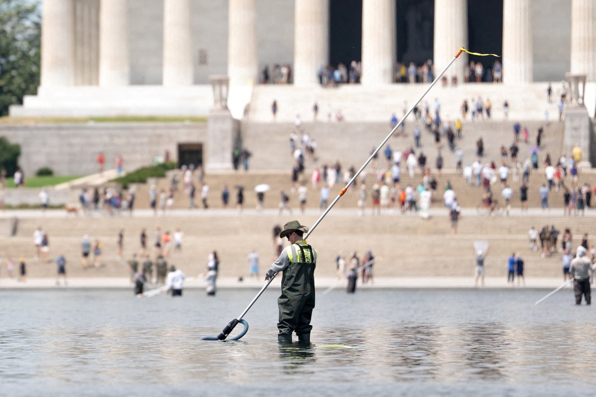 Trump insists Reflecting Pool is done - despite workers still at site