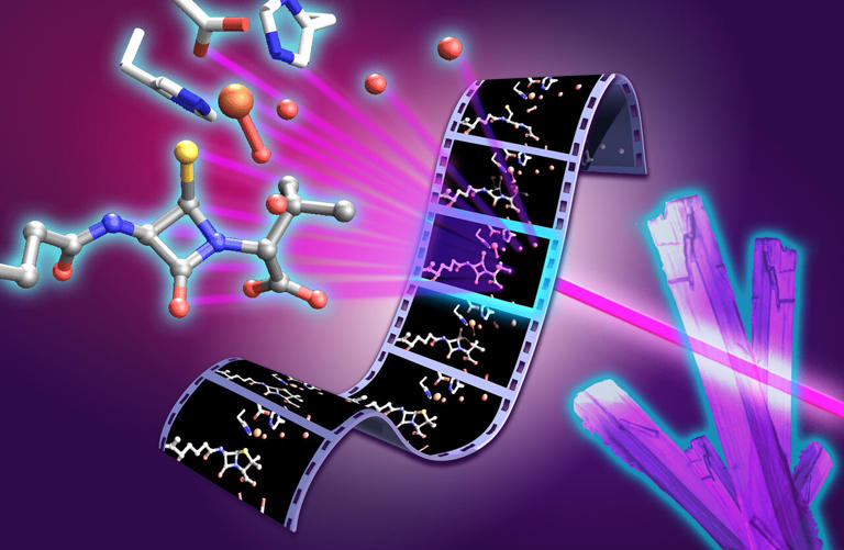 'Molecular movie' finally reveals how penicillin is made