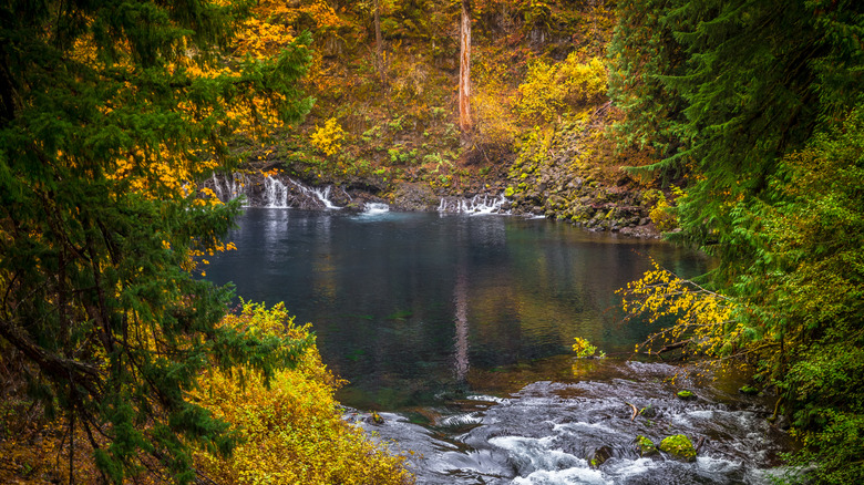 Oregon's 82-mile fall foliage drive passes lava fields, waterfalls, and ...