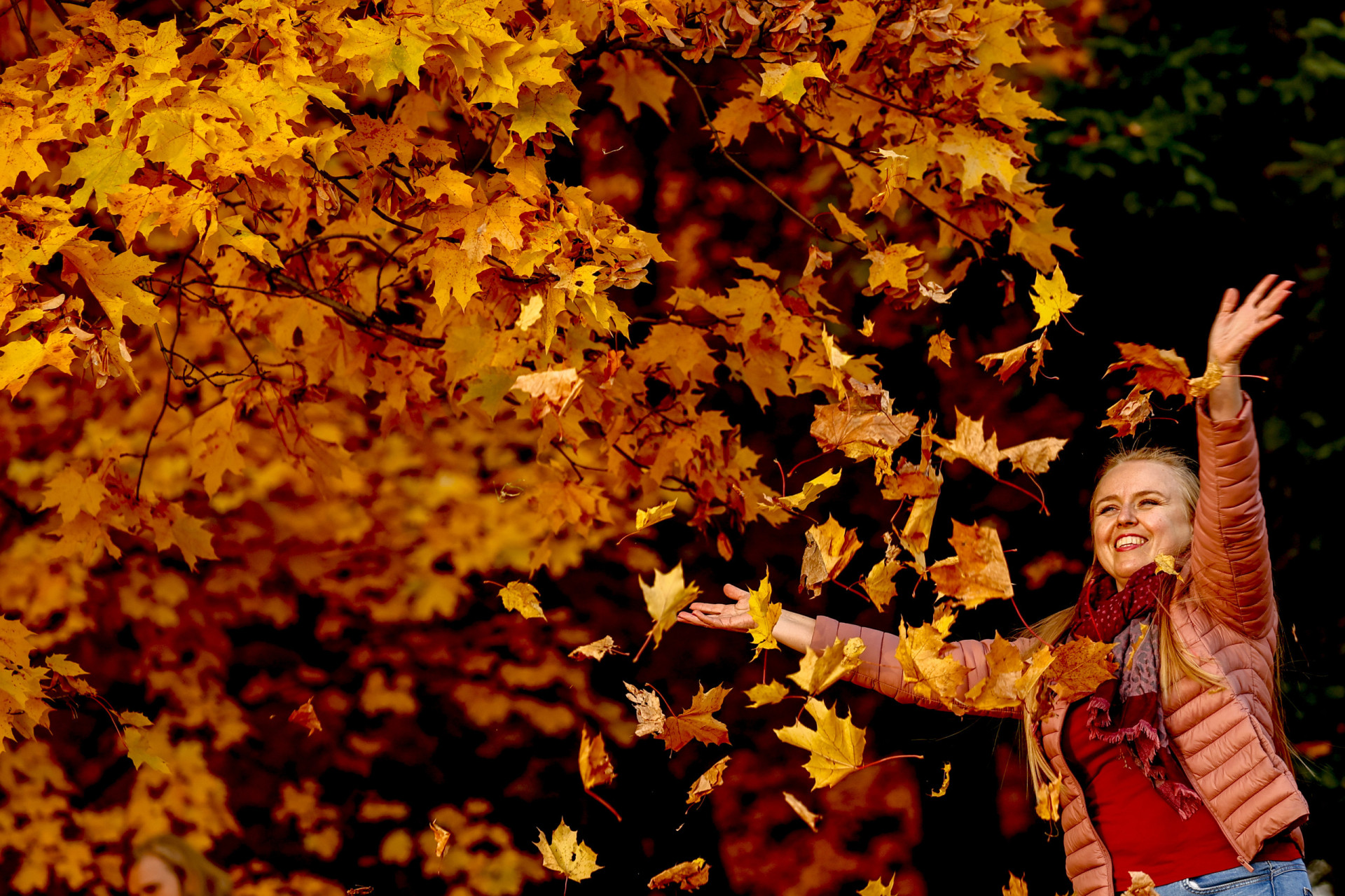 Stunning pictures of fall to celebrate the season