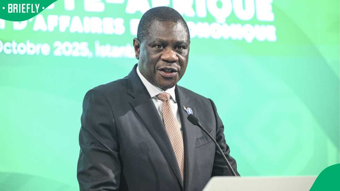 Paul Mashatile backs Home Affairs asylum directive pause, SA reacts to ...