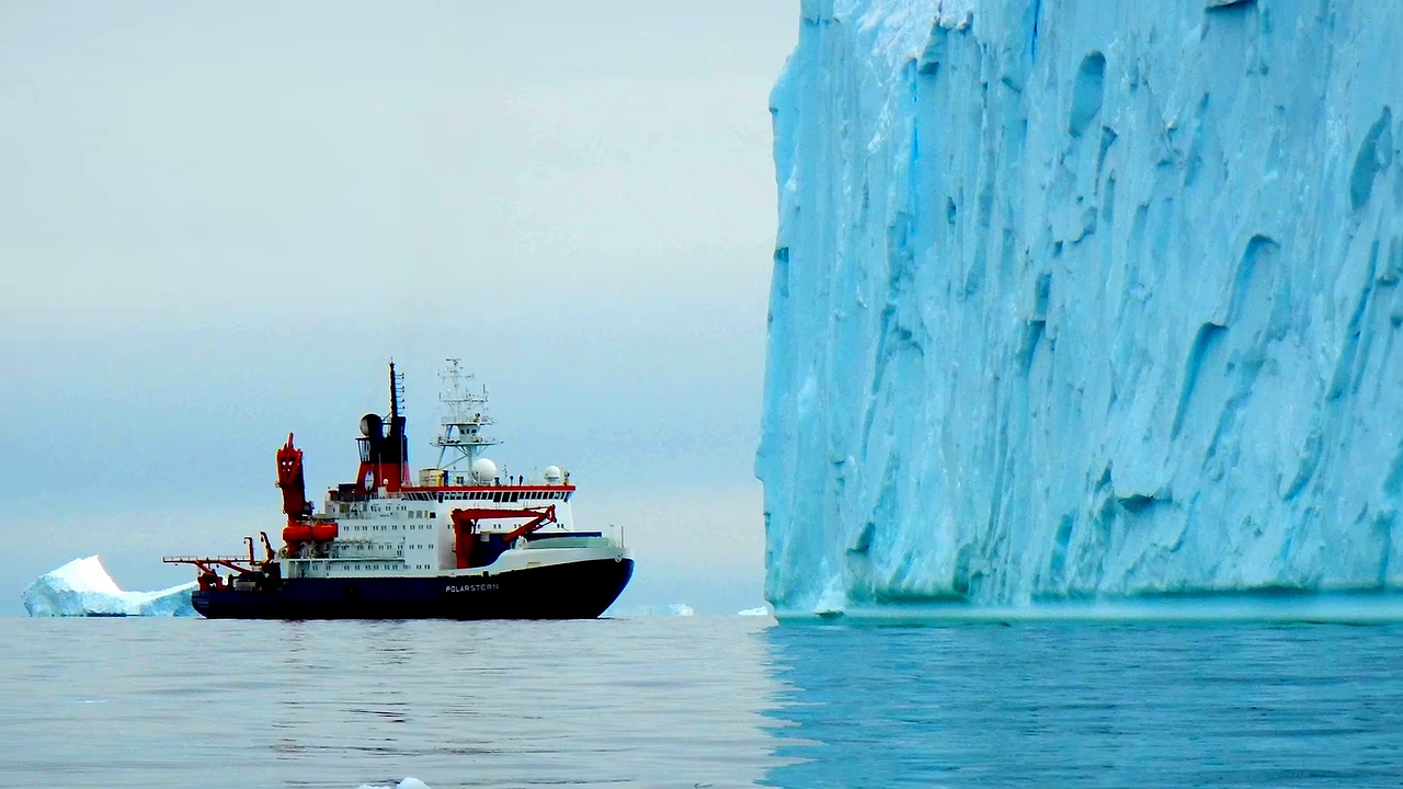 Fossil roots revealed a 90-million-year-old rainforest near the South Pole