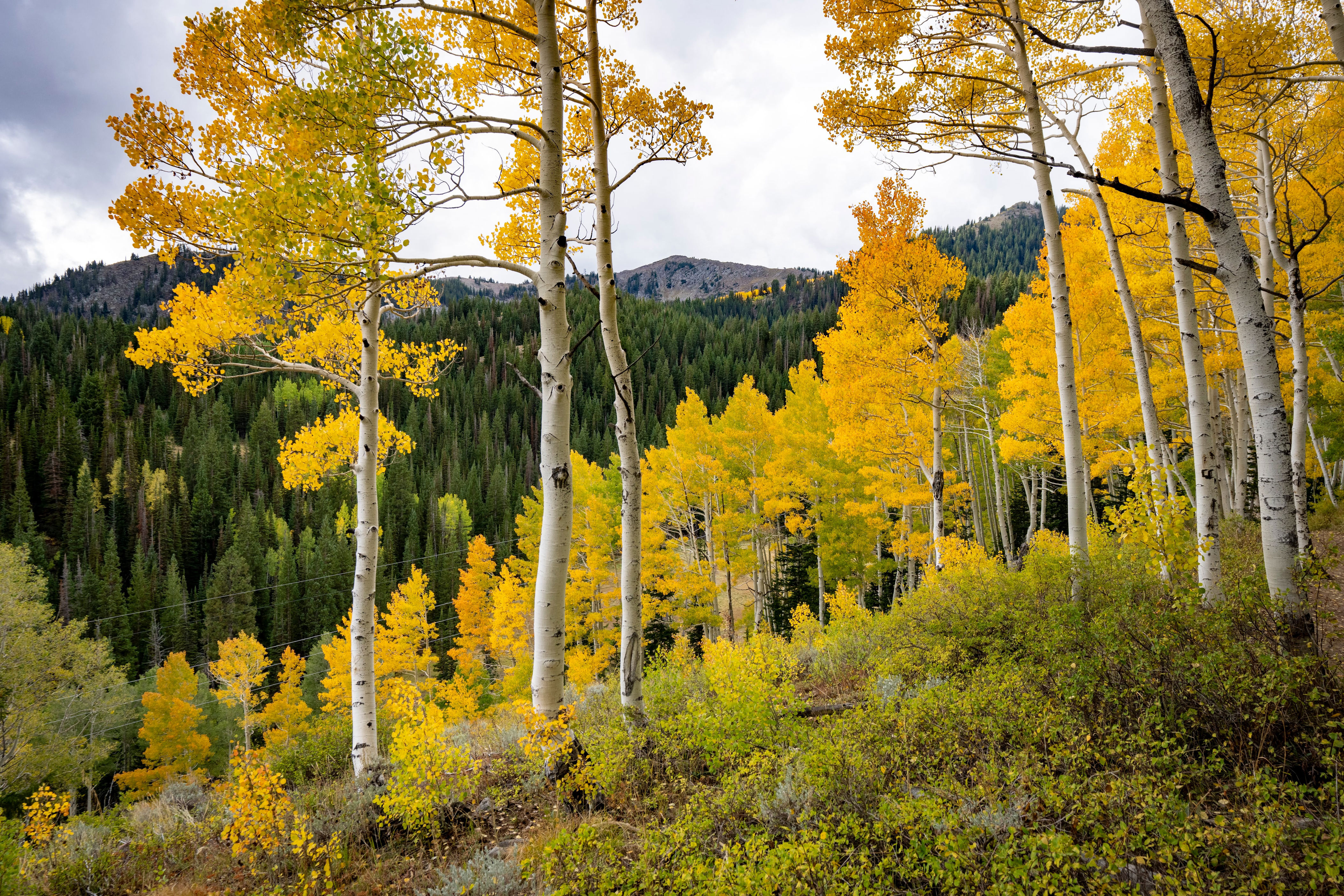 It’s happening, Utah: Fall temps are finally on the way