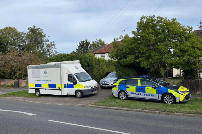 Boy, 15, and man fighting for lives after being stabbed at home by ...