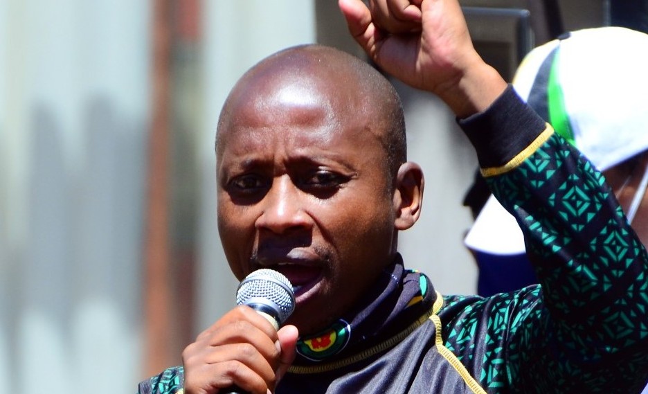 Court rules Andile Lungisa’s removal from ANC candidate list unlawful