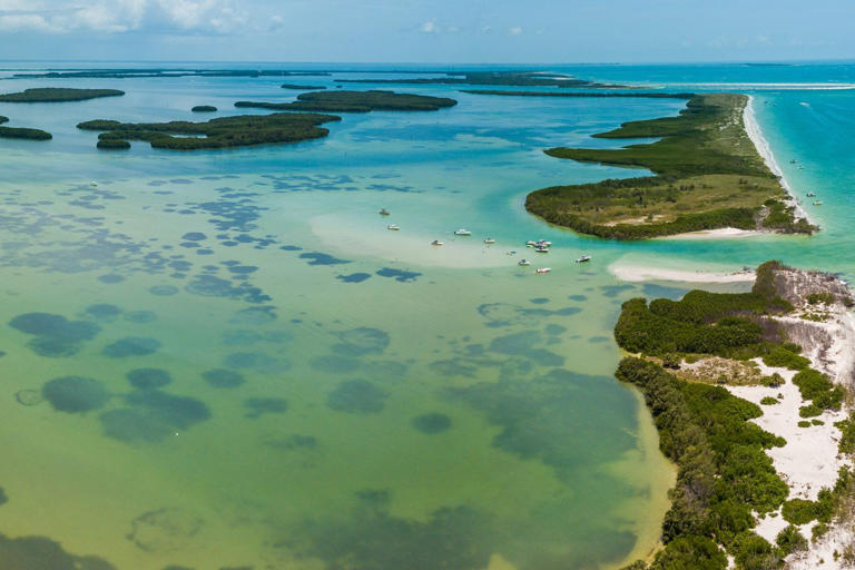 This 1,800-acre preserve has one of Florida’s prettiest beaches—with ...
