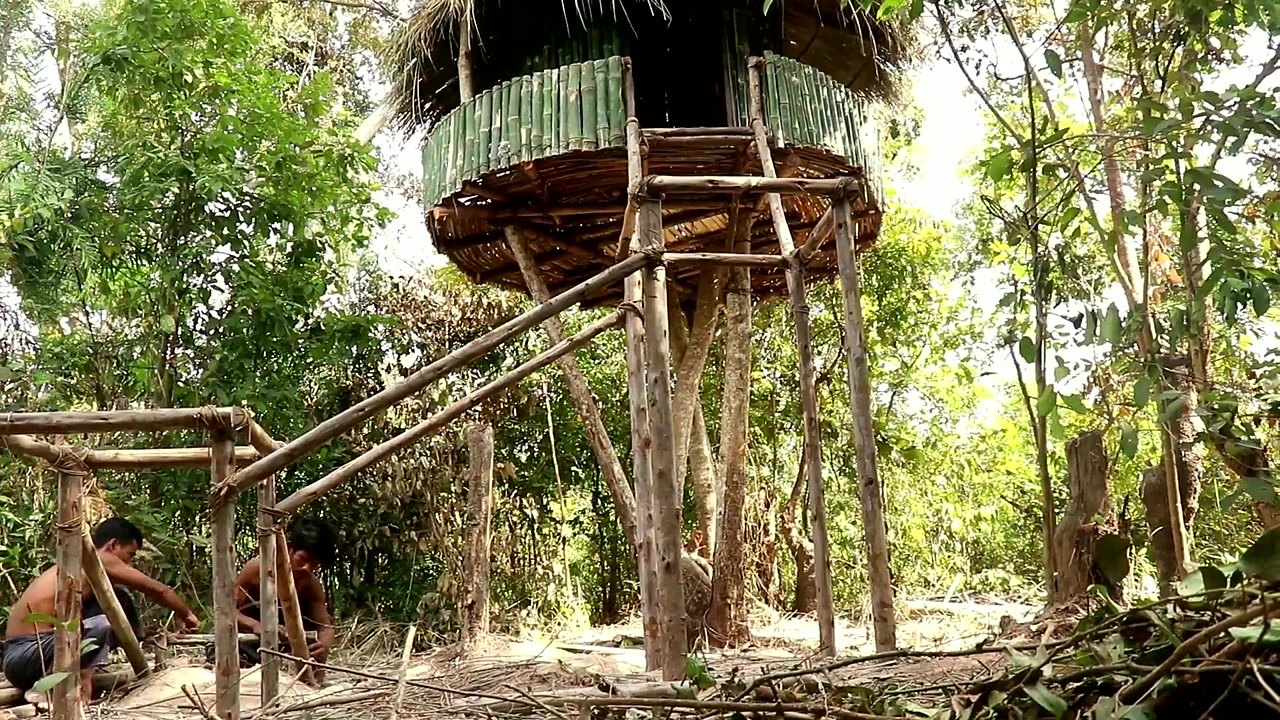 Watch these builders craft ladders to reach their jungle tree hut