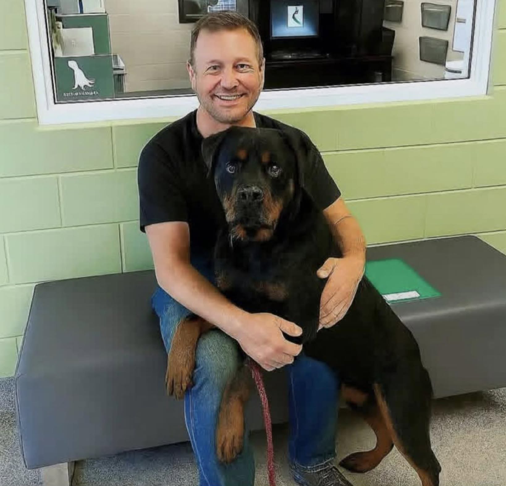Porta coperte al rifugio e incontra un Rottweiler restituito tre volte ...