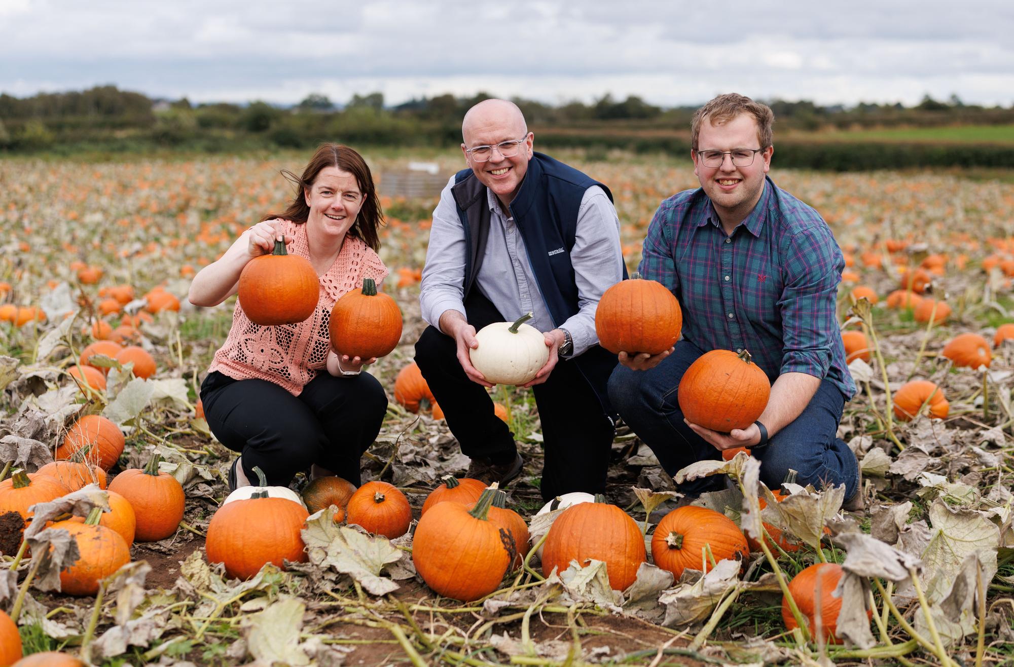 Loughgall-grown pumpkins on sale for first time in Tesco stores this ...