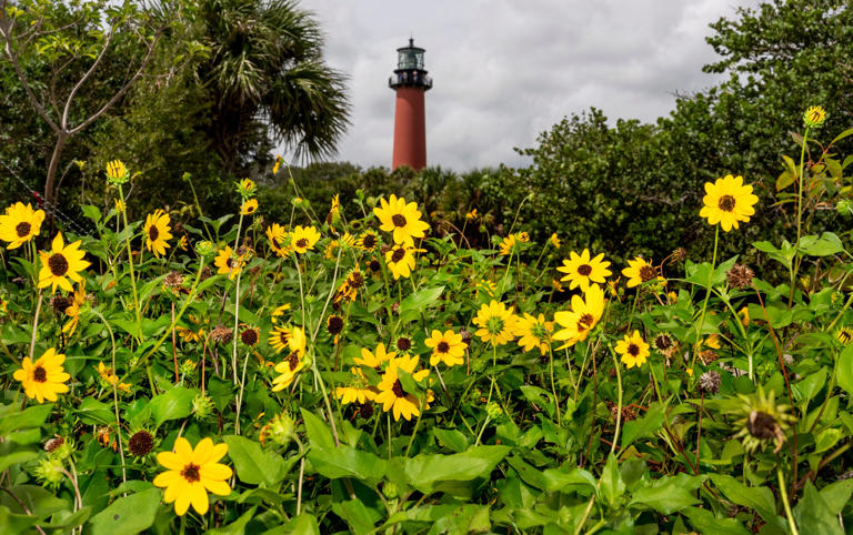 How a $16M project made Jupiter Inlet Lighthouse a better public park