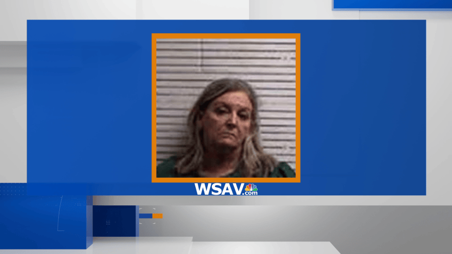 Hardeeville revenue specialist under investigation for allegedly ...