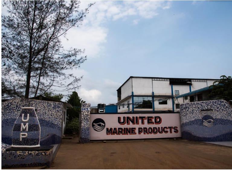 What is your seafood eating? Investigation traces problems in global ...