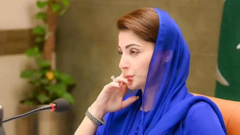 Maryam Nawaz approves PHAs across Punjab, 2,820 technical ...