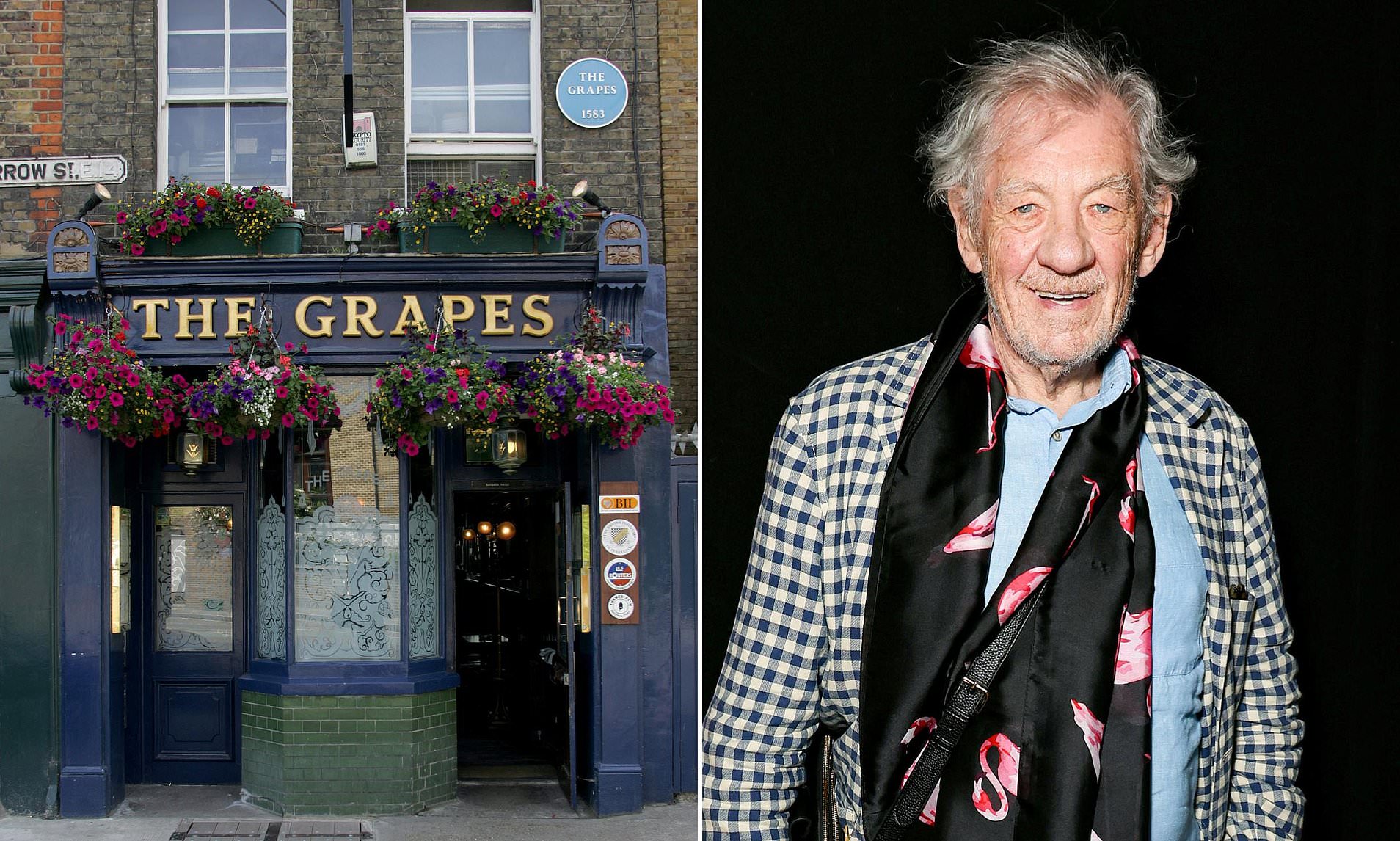 Landlord of the rings! Sir Ian McKellen granted permission to repair ...