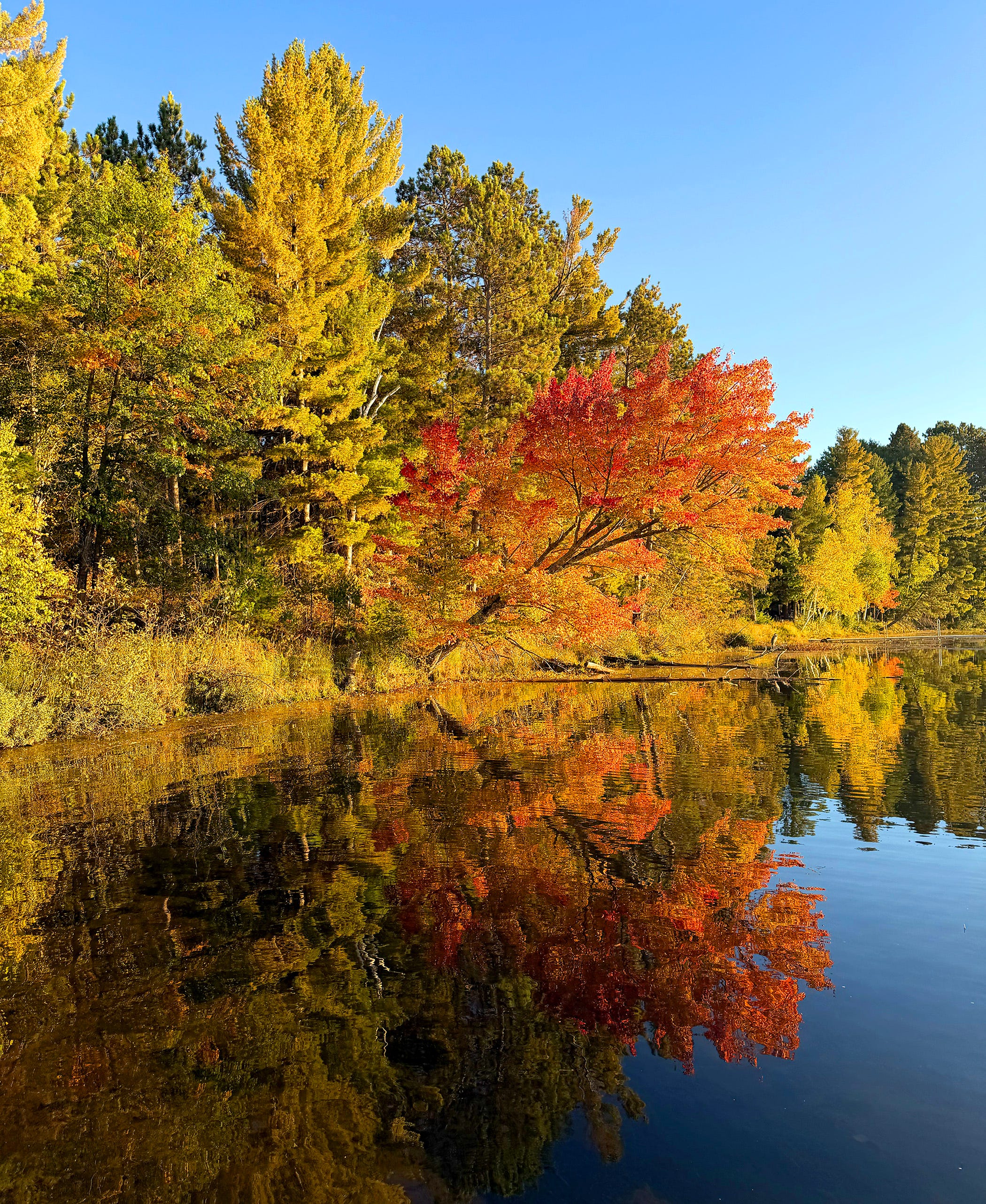 Many northern Wisconsin spots have reached peak fall color