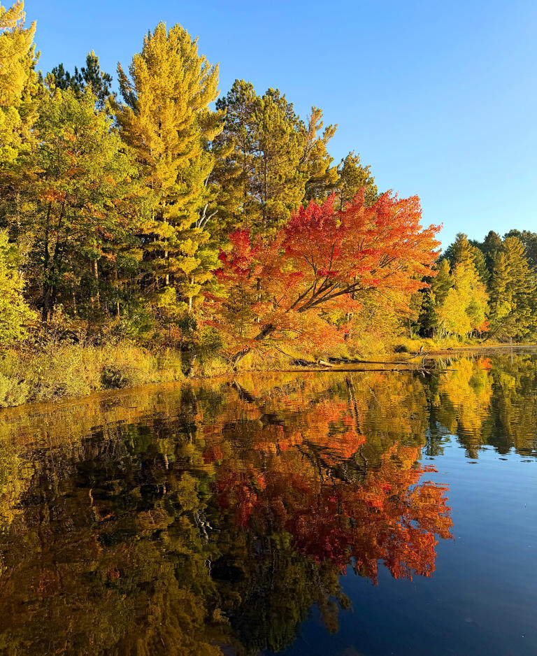 Fall colors are peaking in much of north-central Wisconsin