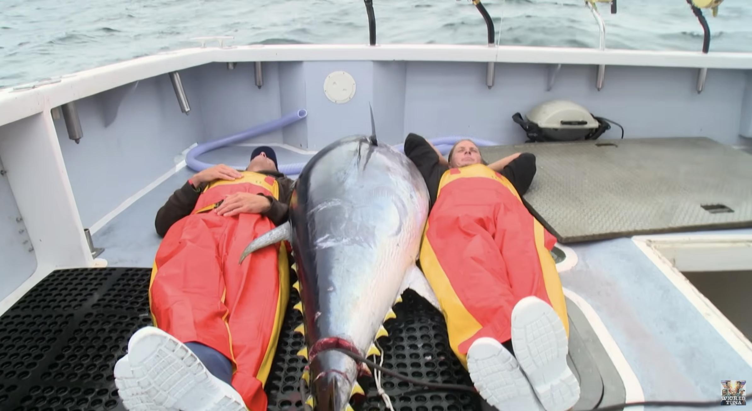 The new boat arrives with something to prove