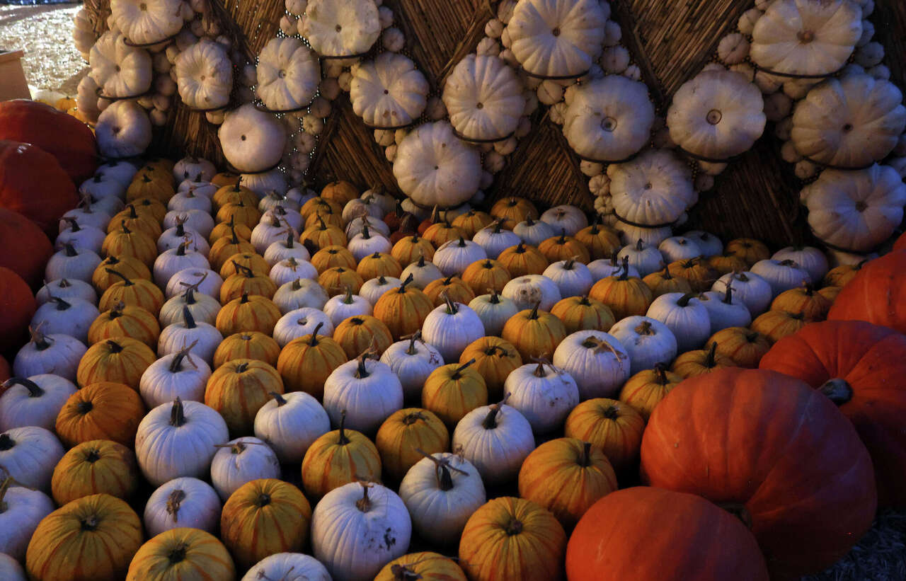 9 picture-perfect spots for fall and autumn vibes in North Texas 2026