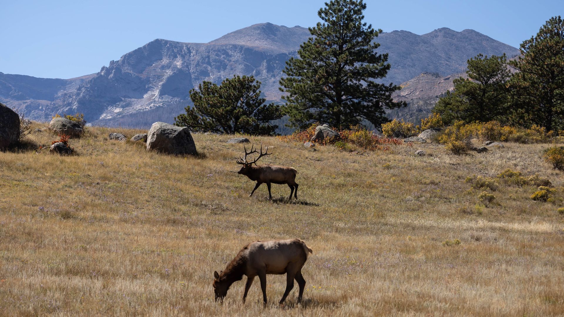 Famous wilderness disappearances that still have people arguing about ...
