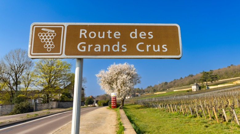 Decoding wine labels: What grand cru can tell you about its origin